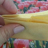 玉米蛋卷——山东大饼新吃法的做法图解6