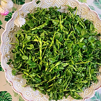 土味美食苜蓿芽苦累的做法图解2