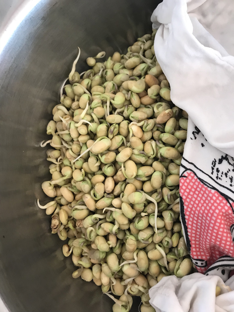 东北生豆芽大法的做法