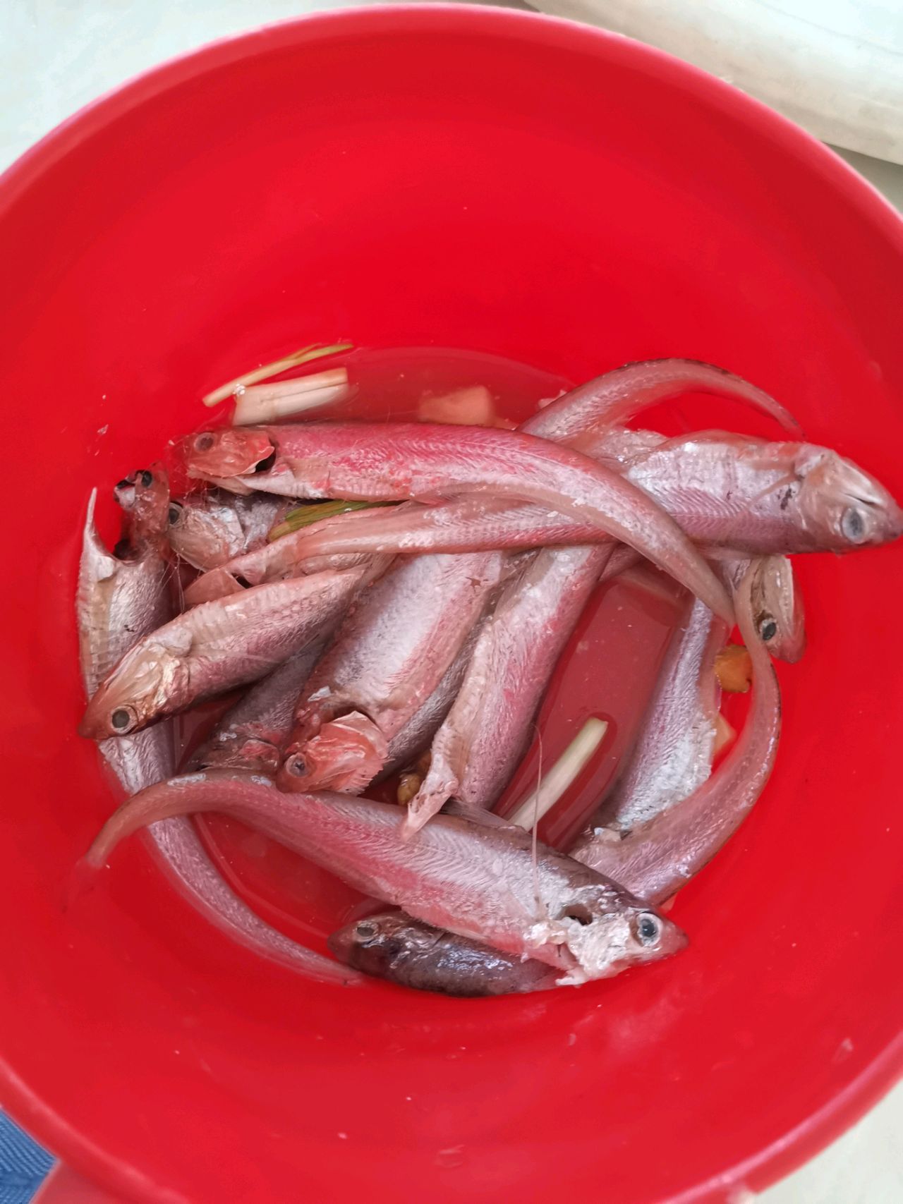 鳡鱼多少钱一斤2022，新鲜野生鳡鱼的食材价格 - 唐山味儿