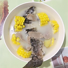 鲫鱼玉米瘦肉汤