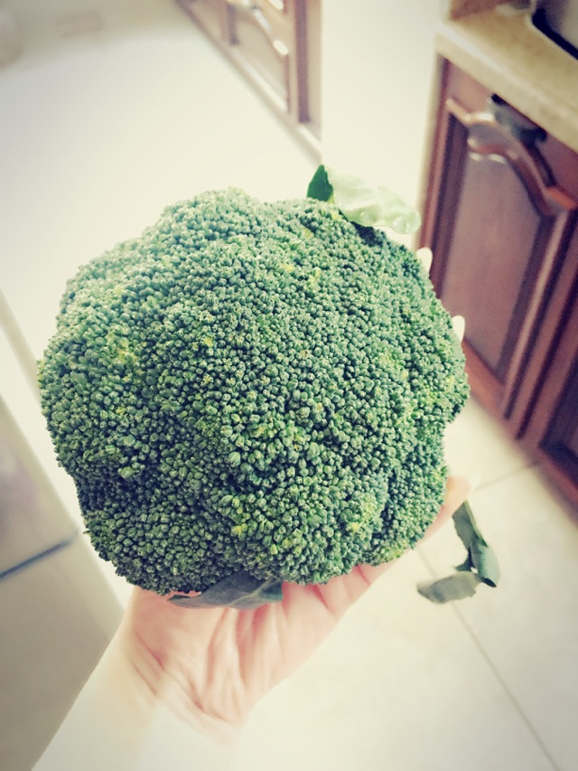 猴头菇扣肉的做法图解10
