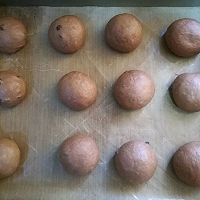 黑眼豆豆面包（重度巧克力爱好者）的做法图解12