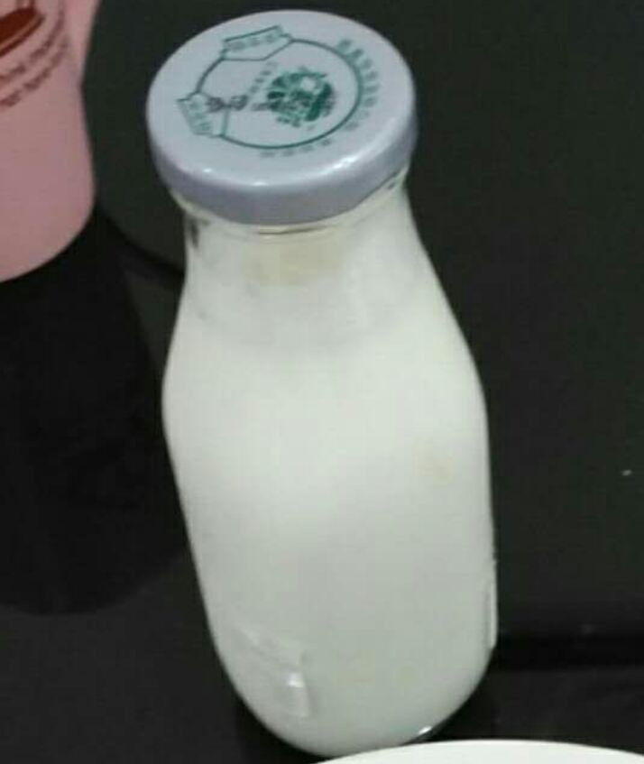 自制酸奶的做法