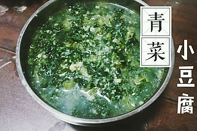 最接地气的野菜佳肴丨青菜小豆腐（山东叫法 菜豆腐）