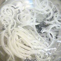 凤尾白菜～凉拌白菜的做法图解3