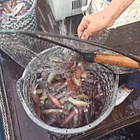 白灼小鱿鱼的做法图解1