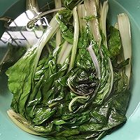 蒜蓉豆豉炒厚皮菜的做法图解3