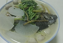 鲫鱼炖白萝卜汤的做法