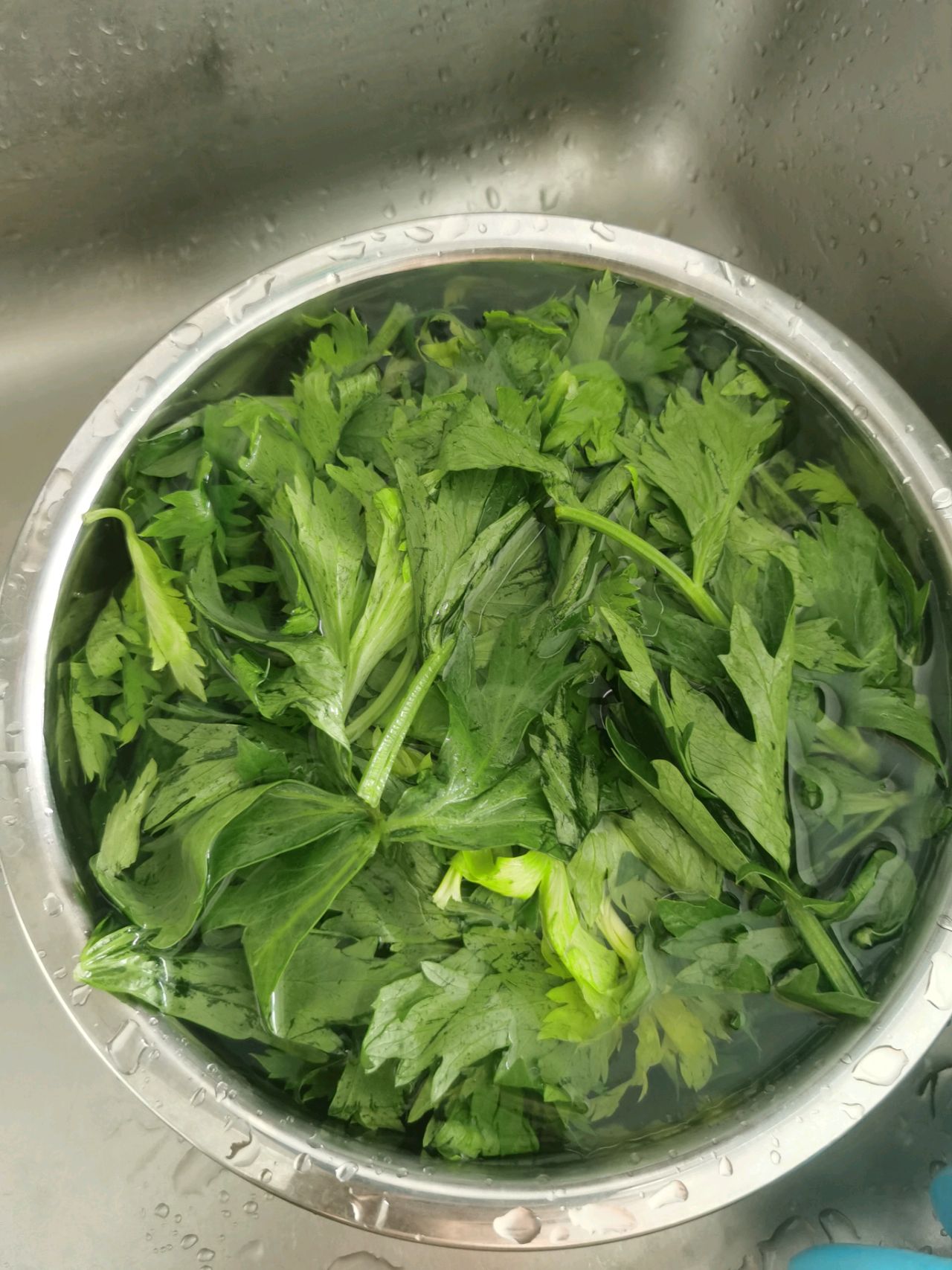 粉蒸芹菜叶怎么做_粉蒸芹菜叶的做法_尖尖实验室_豆果美食
