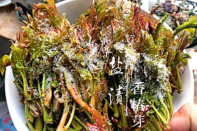 盐渍香椿芽