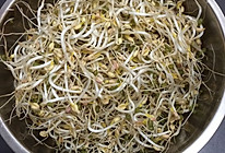 用壶自己生绿豆芽的做法