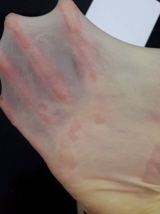 【女王厨房】全麦淡奶豆腐吐司的做法图解2