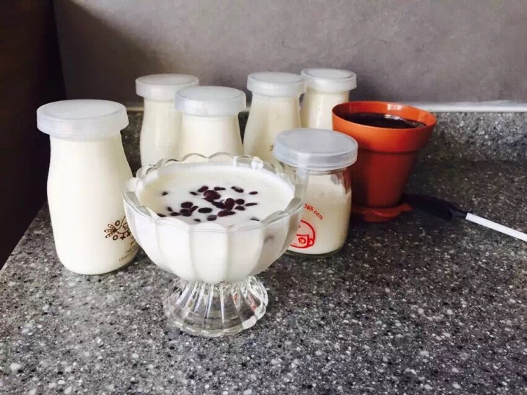 自制手工酸奶的做法图解6