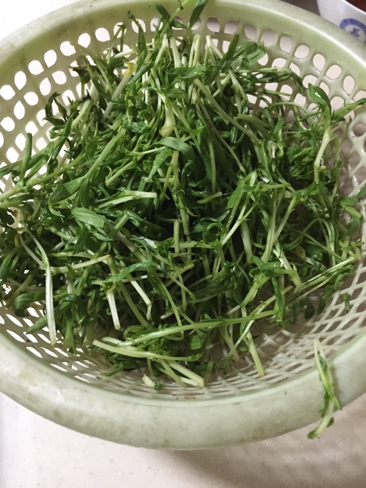 凉拌豌豆苗的做法图解1