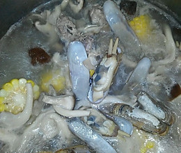 排骨蛏子香菇汤的做法