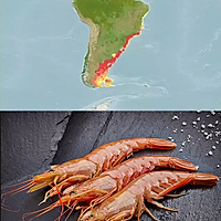 生汁阿根廷红虾球的做法图解1