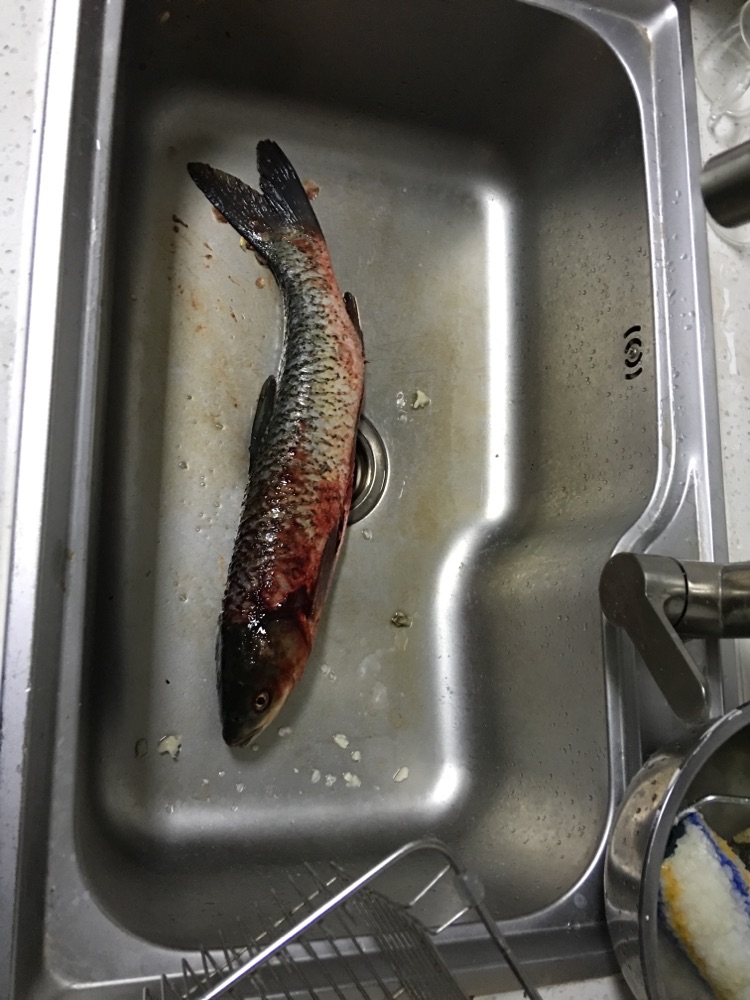 酸菜鱼的做法图解1