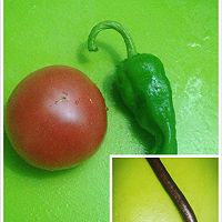 西红柿烧茄子的做法图解1