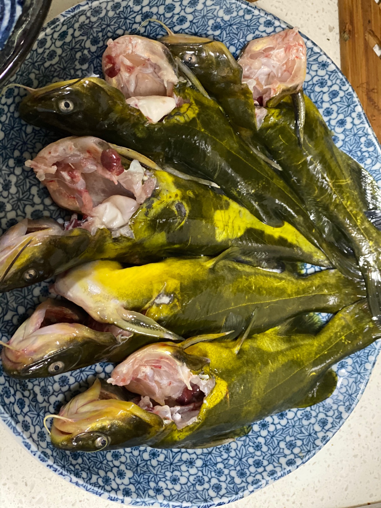 家常炖黄颡鱼怎么做_家常炖黄颡鱼的做法_豆果美食