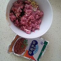 碎米芽菜炒肉沫的做法图解1