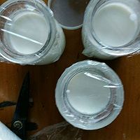 用酸奶自制酸奶的做法图解5