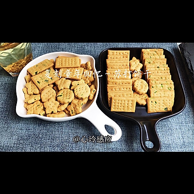 健康苏打饼干，咸香味美嘎嘣脆