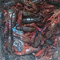 油焖小龙虾的做法图解1