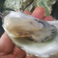 清蒸生蚝（最爱原汁原味）的做法图解7