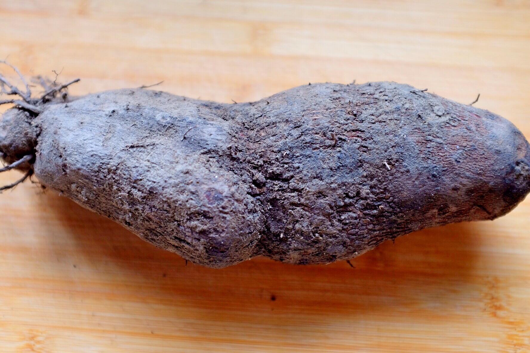 落葵薯-中国蔬菜作物-图片