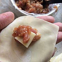 网红拉丝小云吞的做法图解3