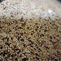 藜麦鸡蛋饼的做法图解1