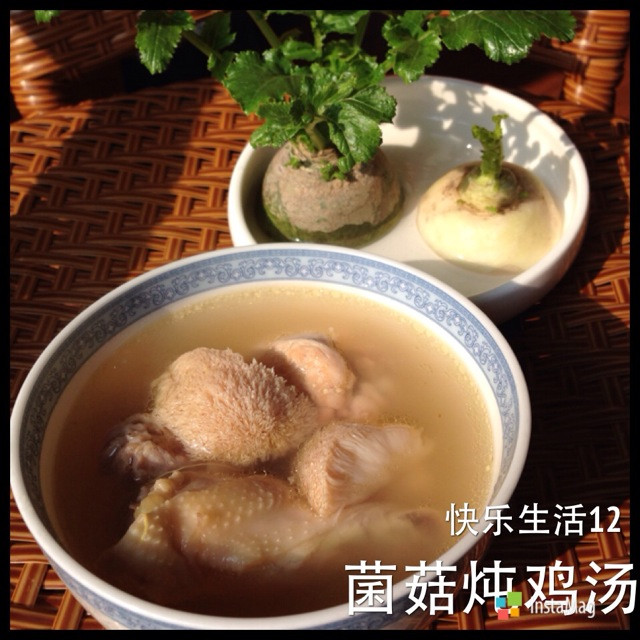 菌菇鸡汤～附如何炖出一锅鲜美鸡汤的做法