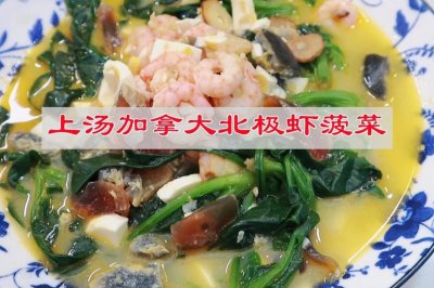 上汤加拿大北极虾菠菜