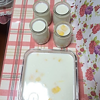 芒果西米布丁的做法图解4