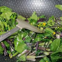 10分钟快手菜|蒜香红菜苔的做法图解3