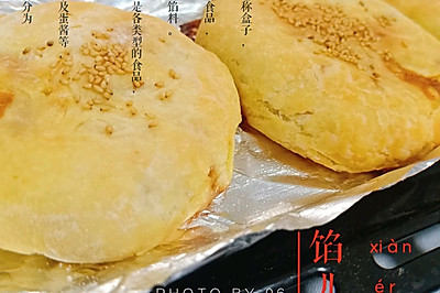 照烧鸡腿（麻辣鸡）馅饼