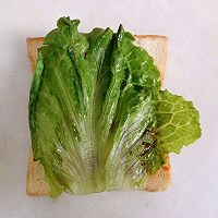 鲜蔬三明治#东菱多士炉TA-8150#食谱的做法图解10