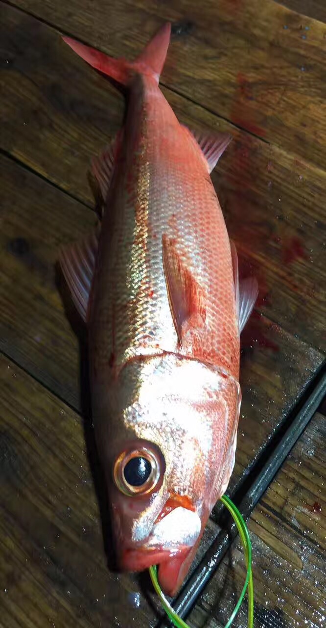 紫鲷刺身怎么做 紫鲷刺身的做法 豆果美食