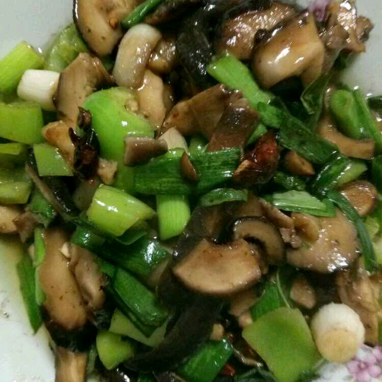 Mushroom with garlic sprouts