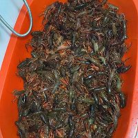 麻辣小龙虾的做法图解1