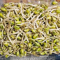 接地气的黄豆芽炖粉条的做法图解1