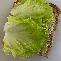 ȫţ͹ʽεͼƬ8