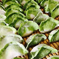 翡翠茴香猪肉饺子的做法图解7