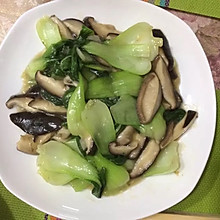 蘑菇油菜