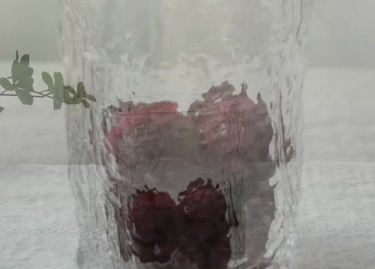 葡萄气泡水