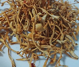 电饭锅虫草花竹荪鸡汤的做法