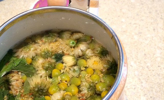 洋甘菊薄荷花茶怎么做 洋甘菊薄荷花茶的做法 豆果美食