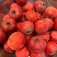 糖葫芦的做法图解4