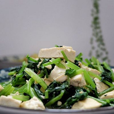 茼蒿炖豆腐